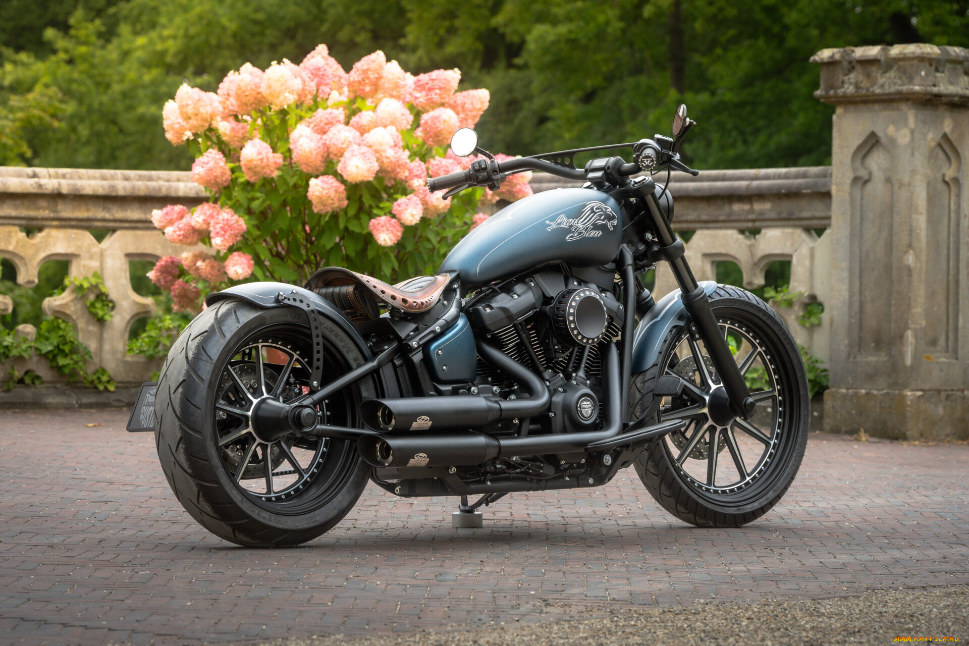 , harley-davidson, softail, street, bob, 114, customized, custombikes, blue, lion